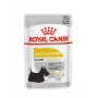Royal Canin CCN Dermacomfort Loaf alimento húmido para cães, embalagem de 12 x 85 g