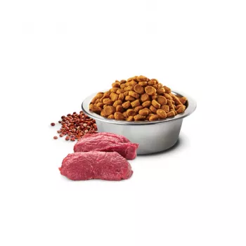 FARMINA N&D Quinoa Dog Skin&Coat Veado&Coco Adult Medium&Maxi - Alimento seco para cães - 7 kg