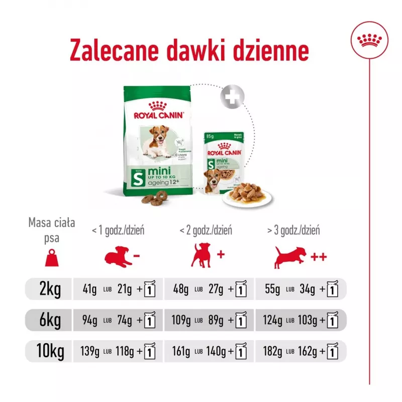 ROYAL CANIN Mini Ageing Adult +12 - Ração seca para cães - 3,5 kg