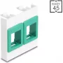 Moldura de módulo para montagem em parede 45x45 mm DELOCK Easy 2x suportes Keystone branco/verde