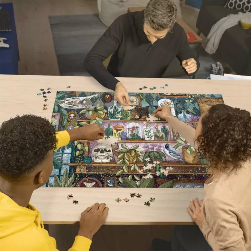 Puzzle Ravensburger A Witch's Favorite Things — 2000 peças
