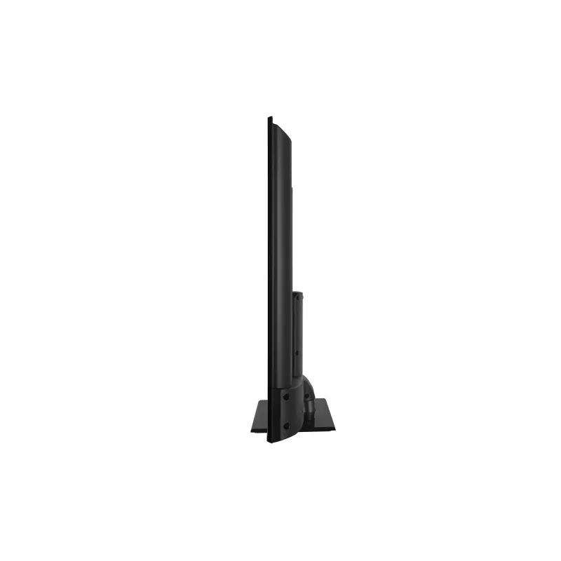 TV LED 55