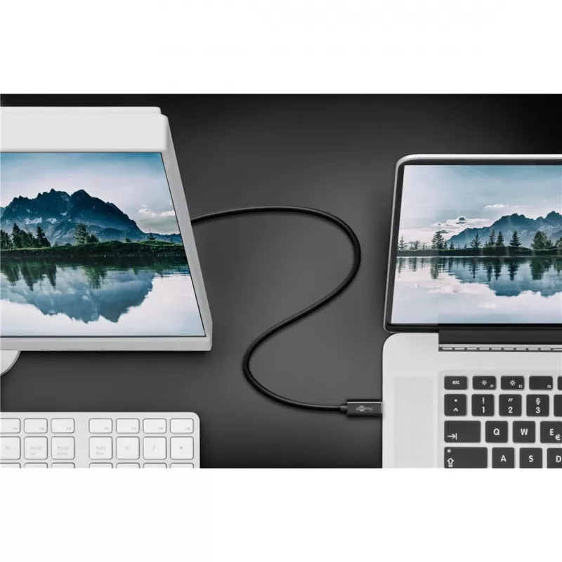 Goobay USB-C para DisplayPort. M/M. preto