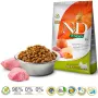 Farmina N&D Pumpkin Adult Mini Boar & Apple ração seca para cães, 7 kg