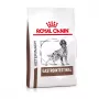 ROYAL CANIN Gastrointestinal - Ração seca para cães - 2 kg