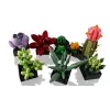 Lego Icons 10309 Suculentas