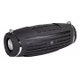 Altifalante portátil Manta SPK14GO BT preto