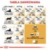 Royal Canin FBN Maine Coon Adult alimento seco para gatos, 4 kg