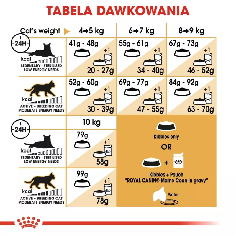 Royal Canin FBN Maine Coon Adult alimento seco para gatos, 4 kg