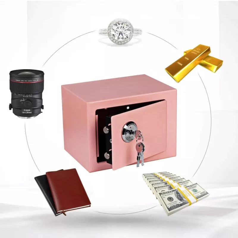 Extralink Home | Cofre doméstico | Escritório, cofre para chaves, cofre de segurança, rosa, S-404