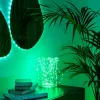 Fita LED Twinkly TWD200STP-TEU faixa interior multicolorida, 5 cm de espaçamento, IP20, cabo transparente