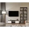 RTV 120 MALWA antracite/branco