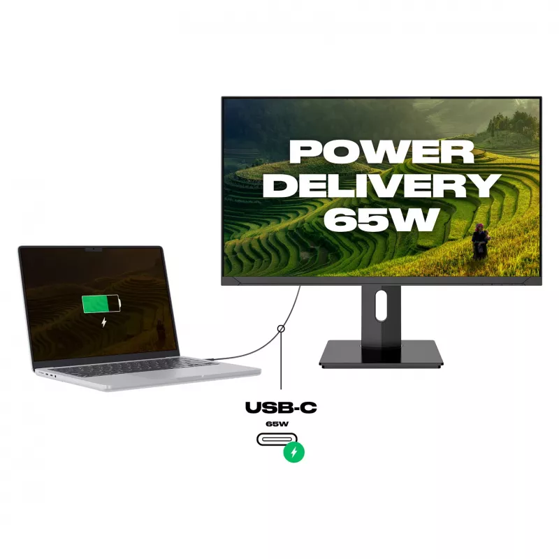 JAPANNEXT Monitor 4K UHD 60,45cm (23,8) 3840x2160 píxeis, Painel IPS, 8 ms, 60 Hz, AMD FreeSync, HDMI, DisplayPort (JN-IPS2380UHDR-C65W-HSP)