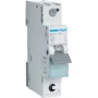 Hager MCS120 Disjuntor tipo C 1 polo 1 unidade de divisão (MCS120)