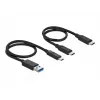 Delock M.2 Docking Station - Adaptador de interface - M.2 NVMe Card - USB 3.2 (Gen 2) - prateado