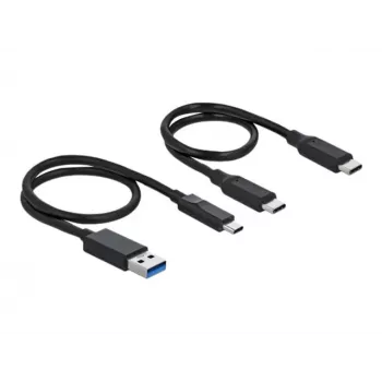 Delock M.2 Docking Station - Adaptador de interface - M.2 NVMe Card - USB 3.2 (Gen 2) - prateado