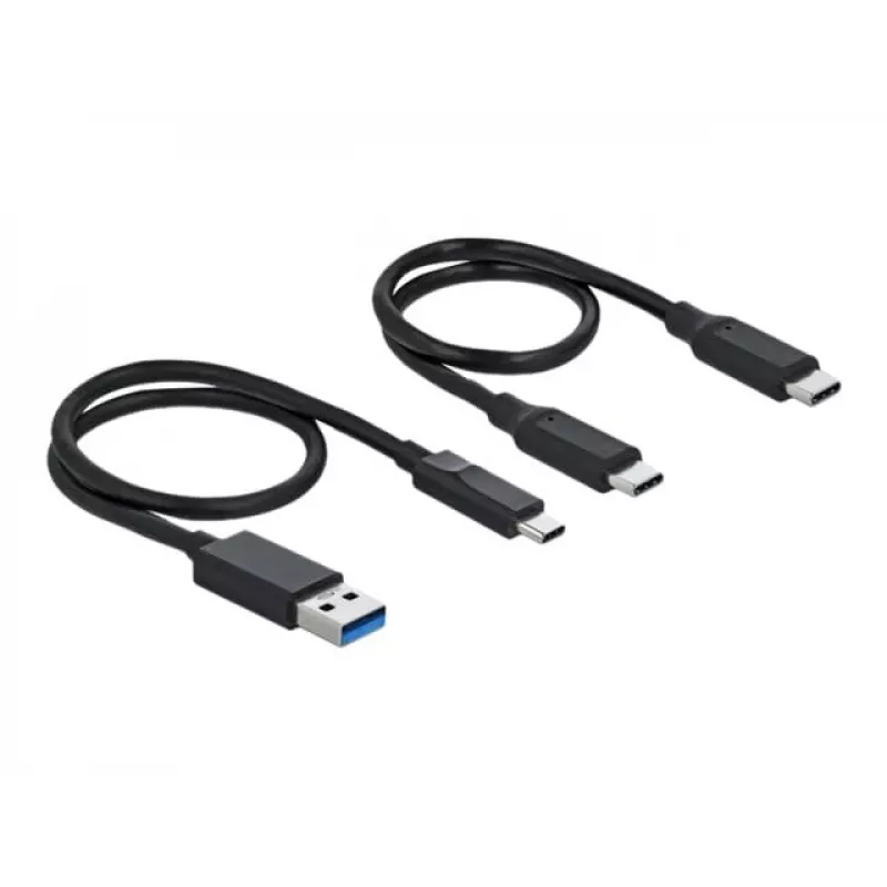 Delock M.2 Docking Station - Adaptador de interface - M.2 NVMe Card - USB 3.2 (Gen 2) - prateado