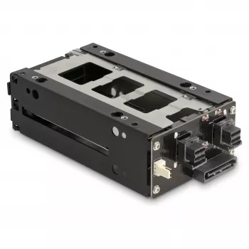 Delock - Rack de armazenamento móvel - baía fina - 5,25 para 2 x 2,5 (13,3 cm para 2 x 6,4 cm) - preto (47019)