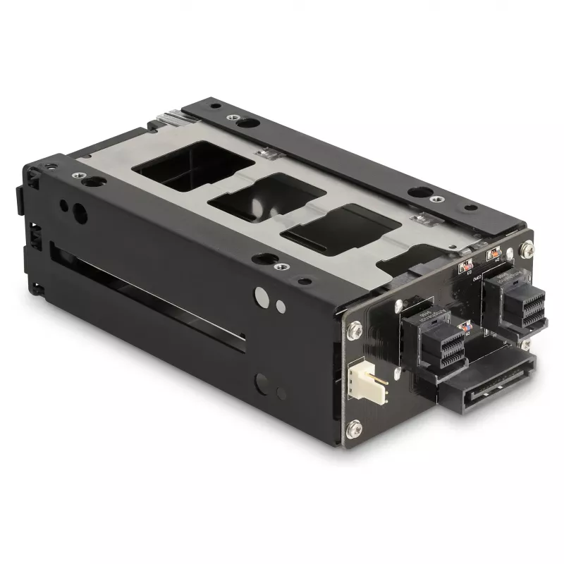 Delock - Rack de armazenamento móvel - baía fina - 5,25 para 2 x 2,5 (13,3 cm para 2 x 6,4 cm) - preto (47019)