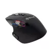 Rato sem fios Tellur TLL491261 USB