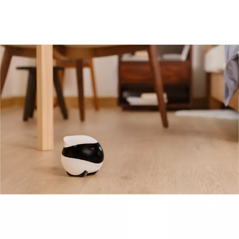 Câmara IP robô Enabot EBO SE compacta N/A MP N/A 16 GB armazenamento externo, suporta máx. 256 GB