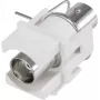 Módulo de encastrar BNC Renkforce Keystone RF-KS-BNC (RF-3434002)