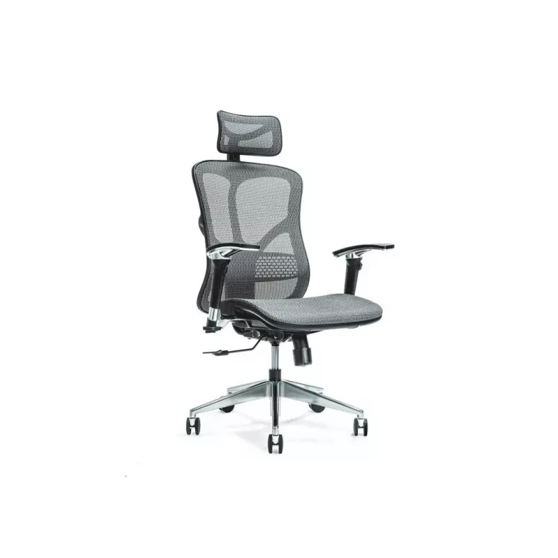 Cadeira de escritório ergonómica ERGO 500 cinzenta