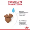 Ração seca para cães Royal Canin Starter Mother & Babydog 1 kg — frango, 30% proteína, 22% gordura