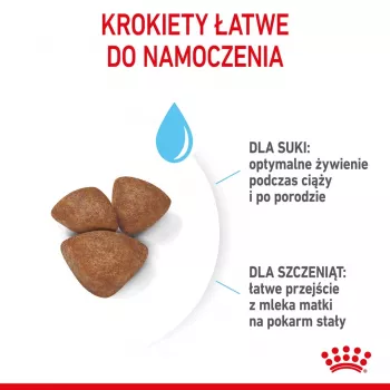 Ração seca para cães Royal Canin Starter Mother & Babydog 1 kg — frango, 30% proteína, 22% gordura