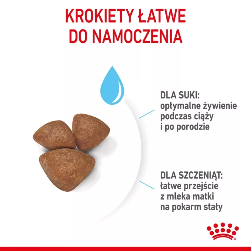 Ração seca para cães Royal Canin Starter Mother & Babydog 1 kg — frango, 30% proteína, 22% gordura