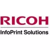 Kit de impressora Ricoh 413013