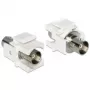 Módulo Keystone DeLOCK 86301