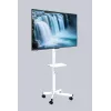 Suporte de chão para TV Gembird com rodas para 32–55 polegadas, branco, VESA 100x100–400x400, 30 kg