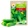 Sementes de pepino Polan F1 PNOS em fita, fita de 6 m