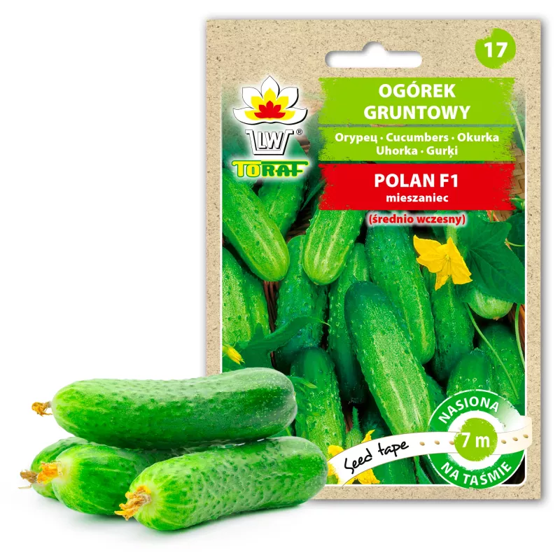 Sementes de pepino Polan F1 PNOS em fita, fita de 6 m