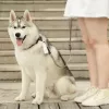 PETKIT Sacos para dejetos