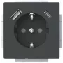 Tomada SCHUKO Busch-Jaeger USB-A+C 20 EUCB2USBAC-885 (2CKA002011A6312)