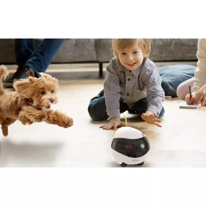 ENABOT Ebo Air AI Robô branco e preto