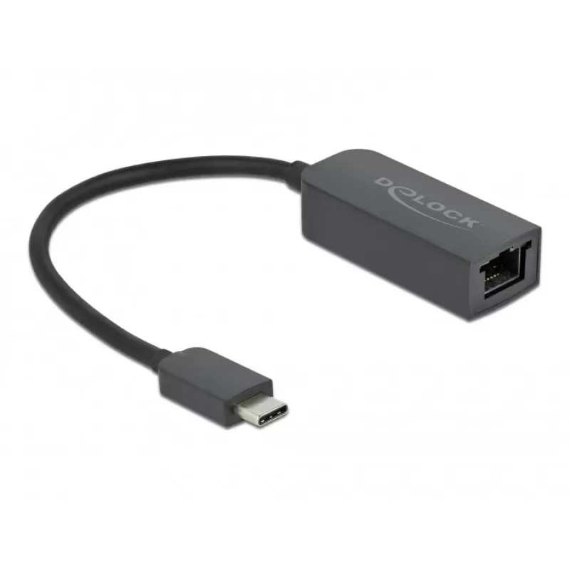 Adaptador USB Type-C macho para LAN 2,5 Gigabit compacto DeLOCK 66645