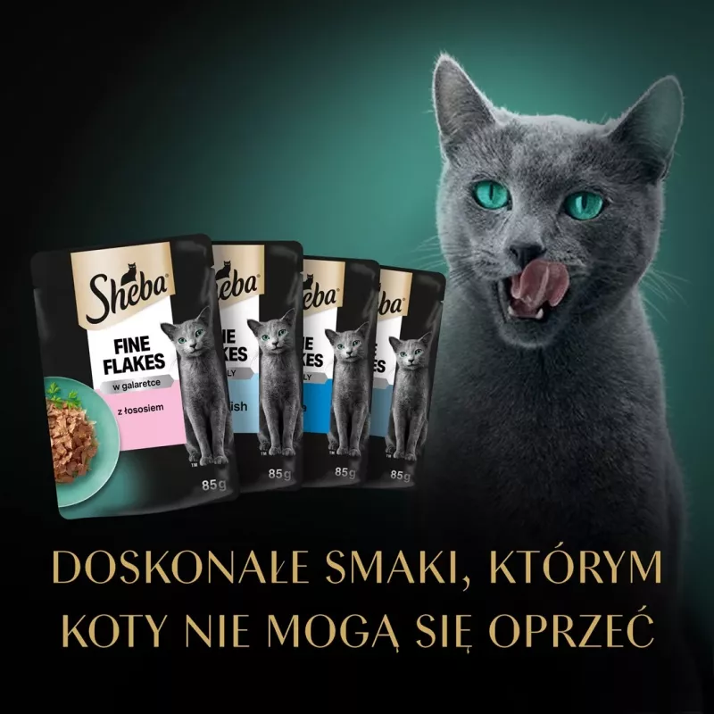 Sheba Delicacy sabores de peixe em geleia ração húmida para gatos, 80 x 85 g