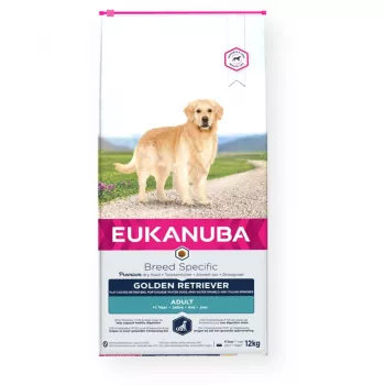 Alimento seco para cães EUKANUBA Golden Retriever frango 12 kg — alimento completo para cães adultos, 26% proteína, 13% gordura, 1,25% cálcio