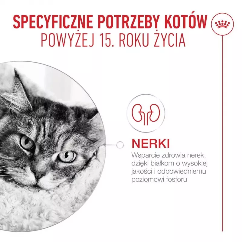 ROYAL CANIN Ageing 15+ ração seca para gatos – 4 kg