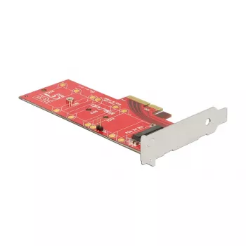 Placa de interface DeLOCK 89577