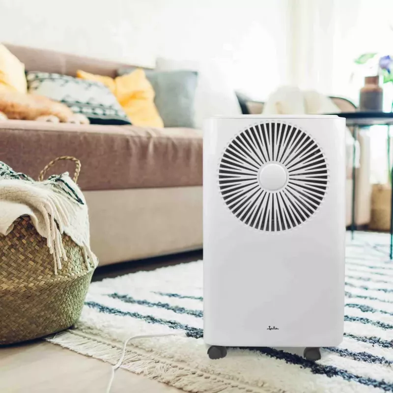 Desumidificador Jata JEHU2413 2 L 210 W 42 dB 230 V branco 270×205×408 mm