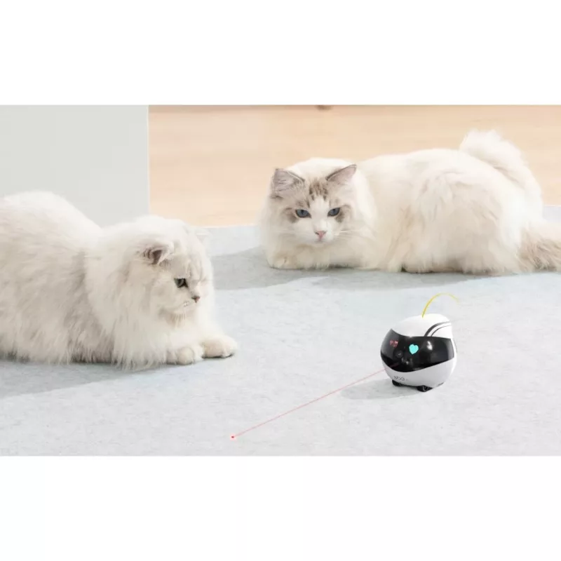ENABOT Ebo Air AI Robô branco e preto