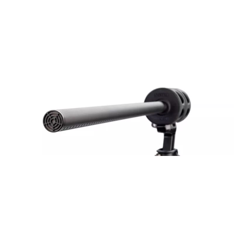 Microfone RØDE NTG8