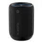 Altifalante portátil Xiaomi QBH4274GL, preto