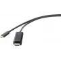 Adaptador de cabo Renkforce RF-4531590 USB-C HDMI preto (RF-4531590)