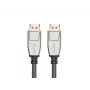 Cabo DisplayPort LANBERG CA-DPDP-20CU-0010-BK — DisplayPort para DisplayPort, 1 m, preto/prateado