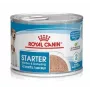 ROYAL CANIN Starter Mousse Mother & Babydog - Lata 195 g